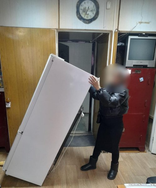 Предприимчивая жительница Долгоруковского района похитила холодильник